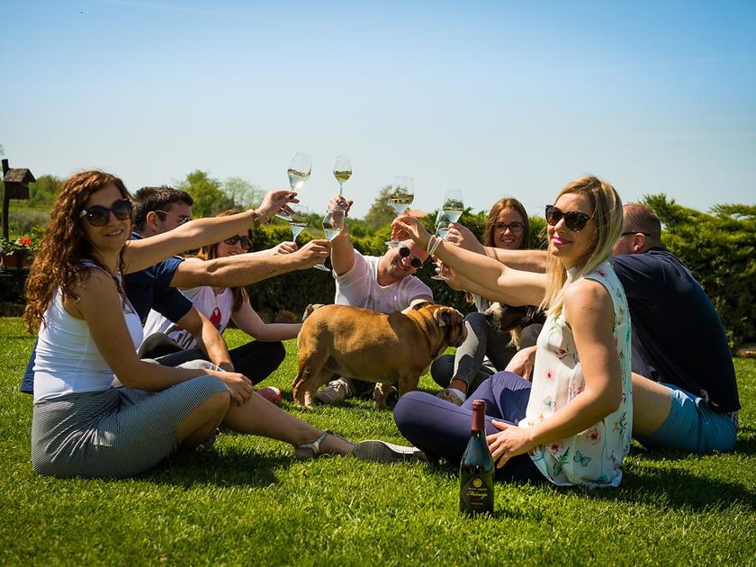 Circle of guests toasting with white wine on the lawn, a bulldog in the middle and a Franc Arman bottle in the grass
