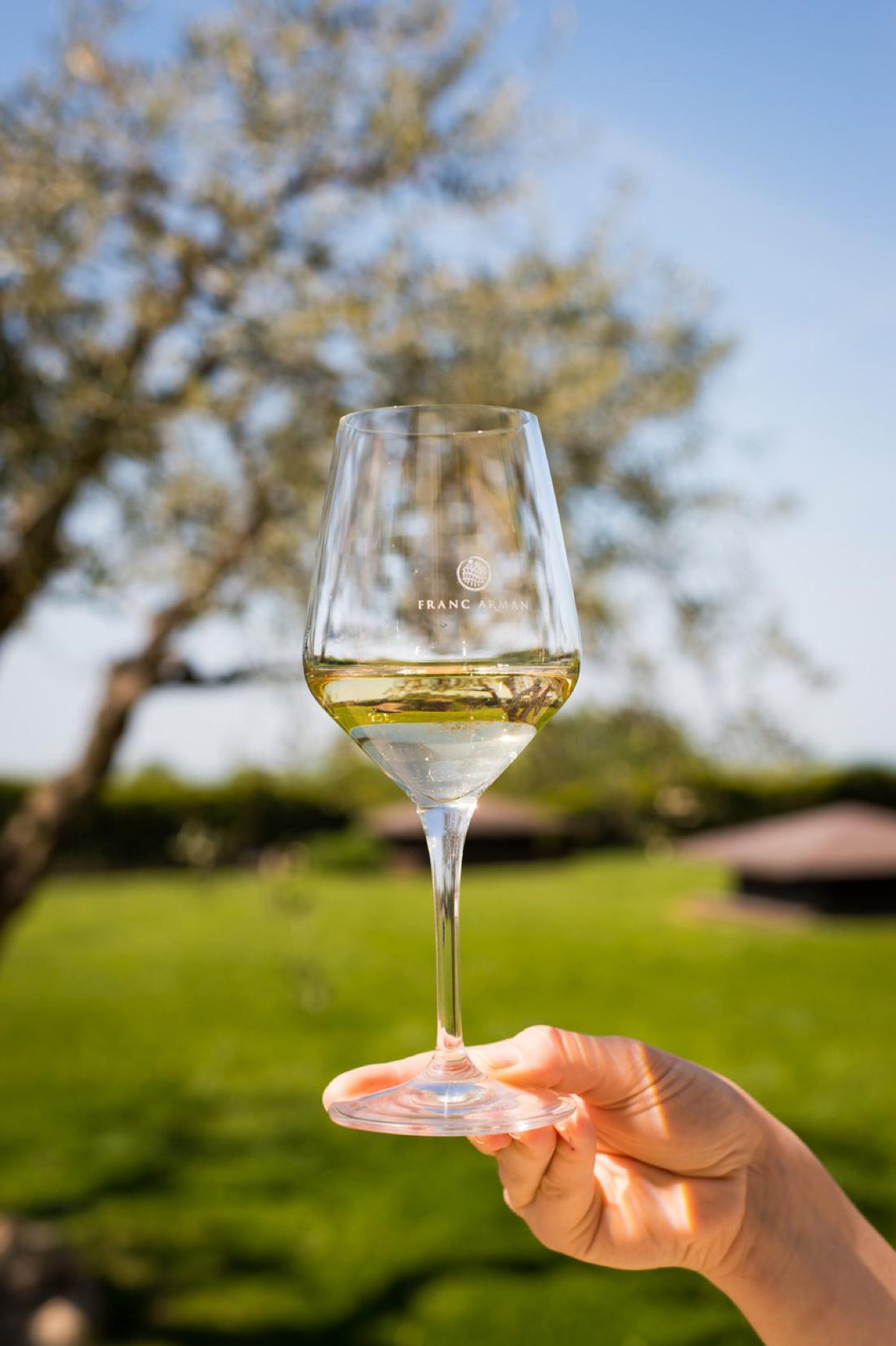 Hand holding a Franc Arman white-wine glass against a sunlit lawn, olive trunk and estate roofs behind
