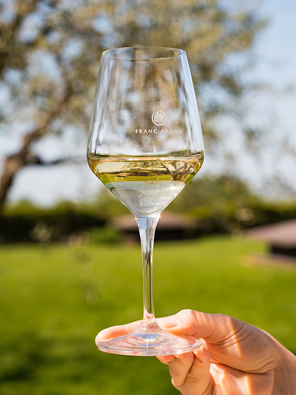 Hand holding a tulip glass of pale white wine printed with the Franc Arman crest, against a sunlit vineyard lawn